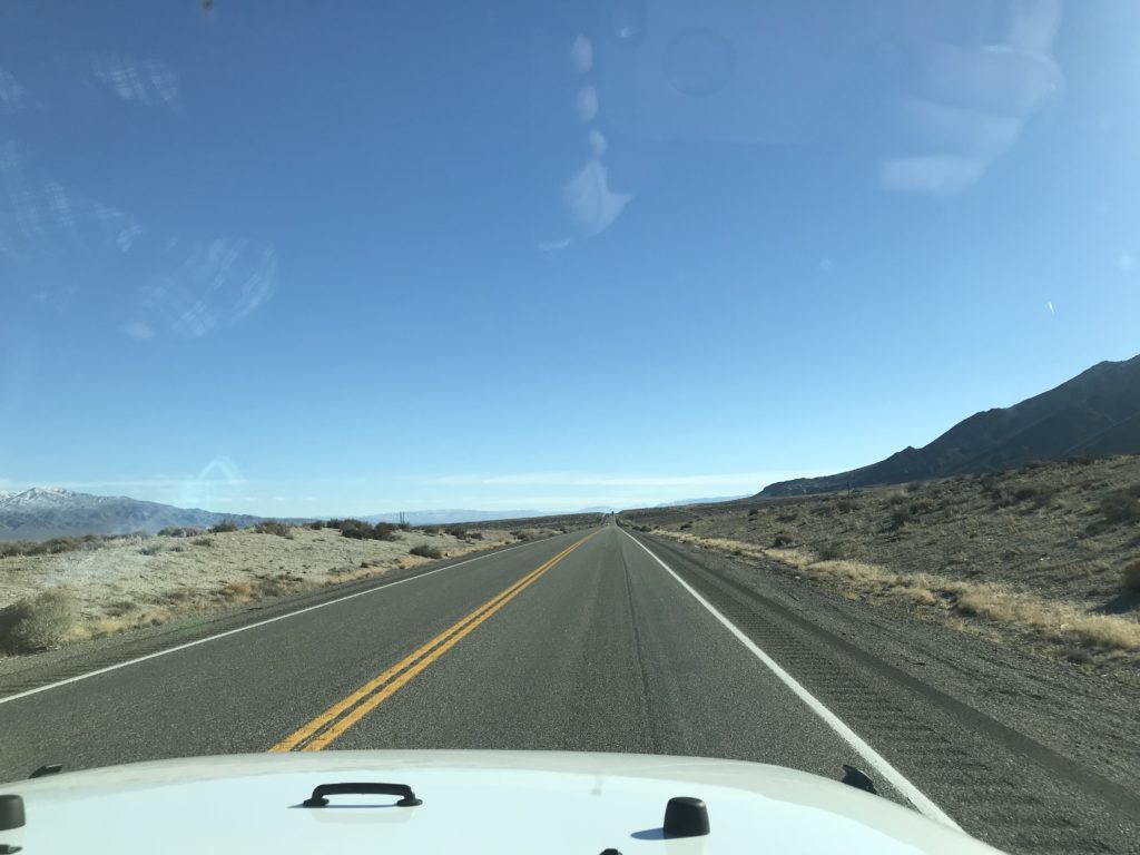 Long straight roan in Nevada