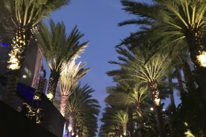 Palm trees at NAMM Anaheim convention center