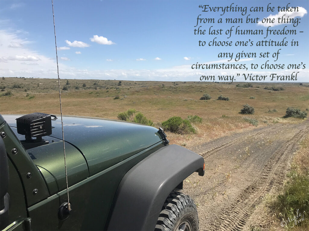 Jeep with trail or opens spaces. Make your choice.


“Everything can be taken from a man but one thing:  the last of human freedom – to choose one’s attitude in any given set of circumstances, to choose one’s own way.” Victor Frankl